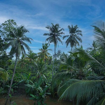 Homejay Residancies Unawatuna Exteriér fotografie
