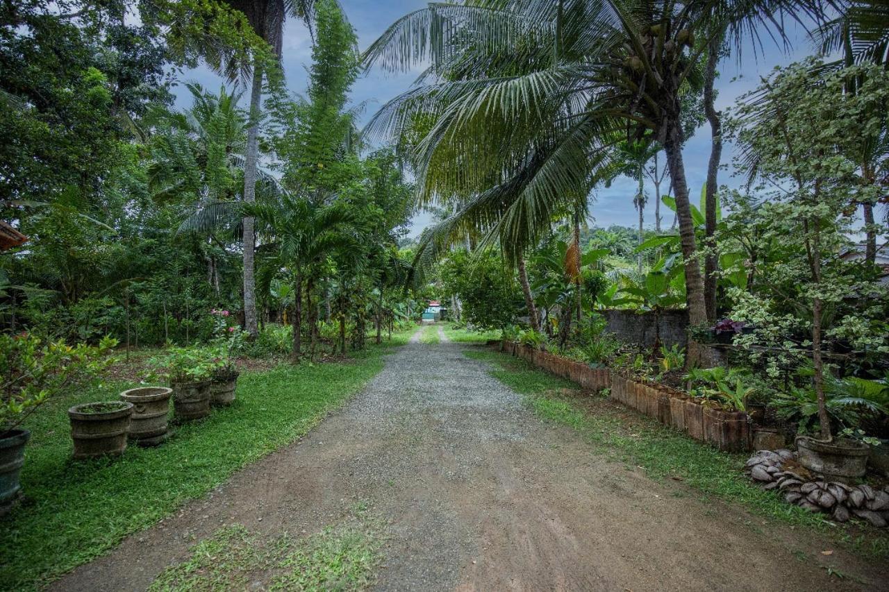 Homejay Residancies Unawatuna Exteriér fotografie