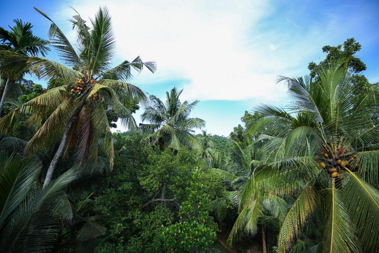 Homejay Residancies Unawatuna Exteriér fotografie